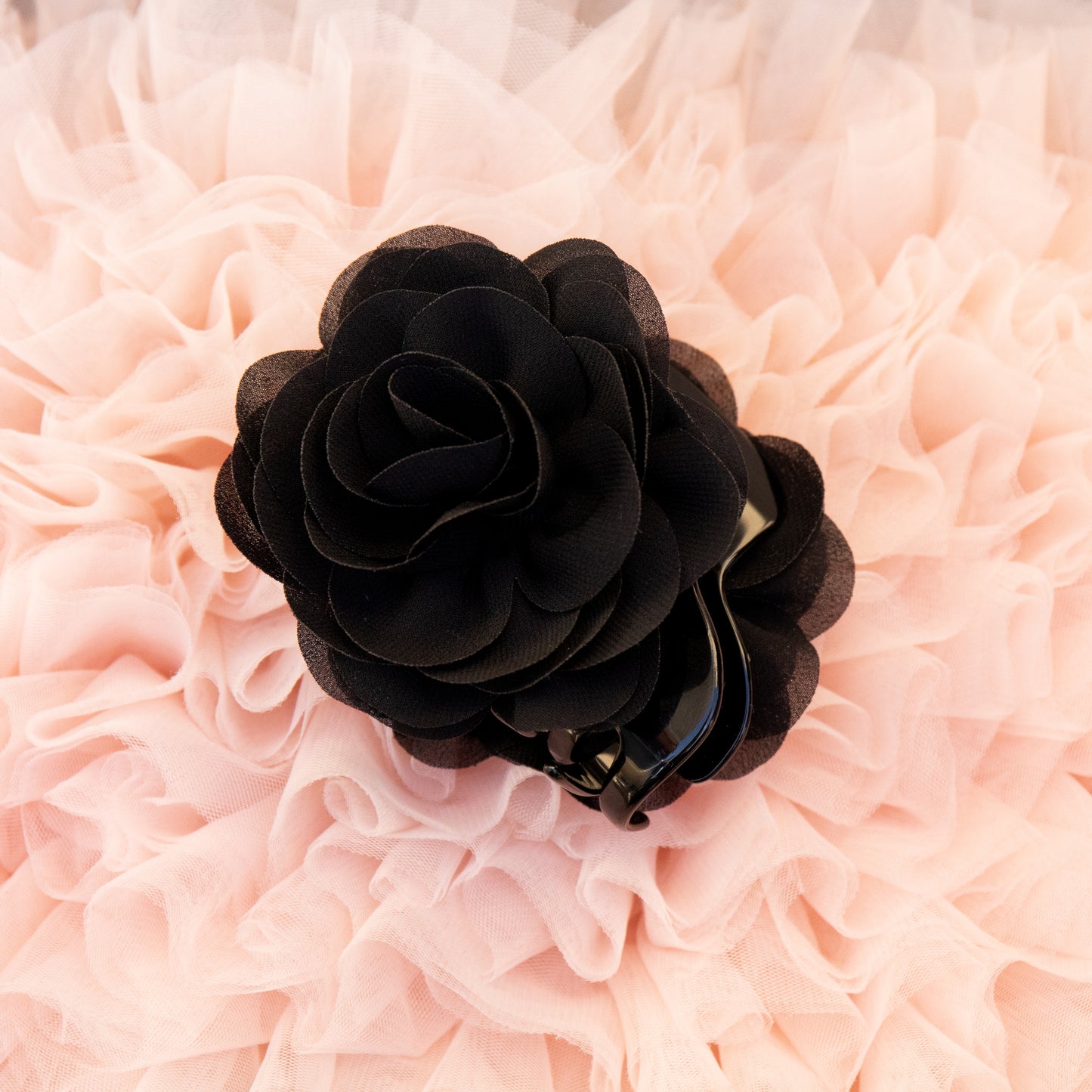 BLACK SWAN