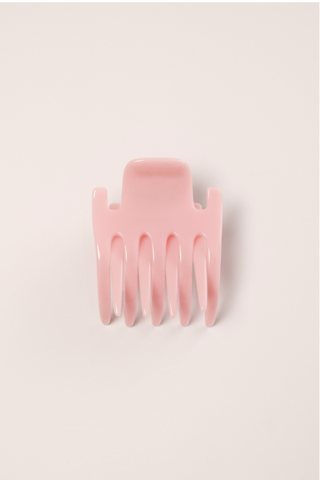 PINCE PLATE PILATE PRINCESSE