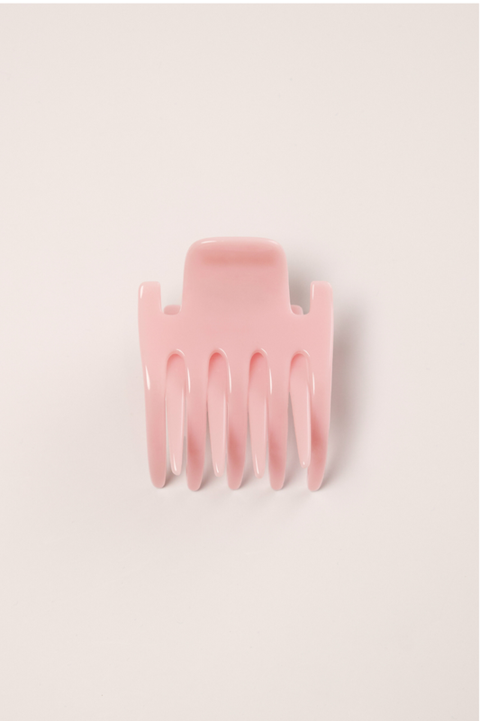 PINCE PLATE PILATE PRINCESSE